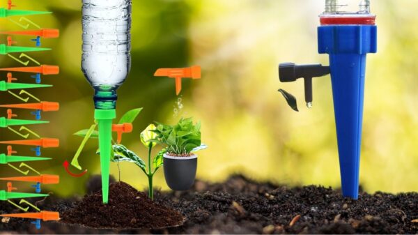 Drip Irrigation System - Image 4