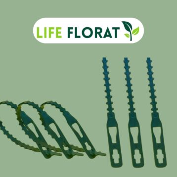 Plant stem support clip