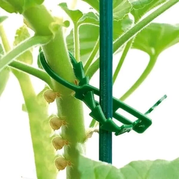 Plant stem support clip - Image 2